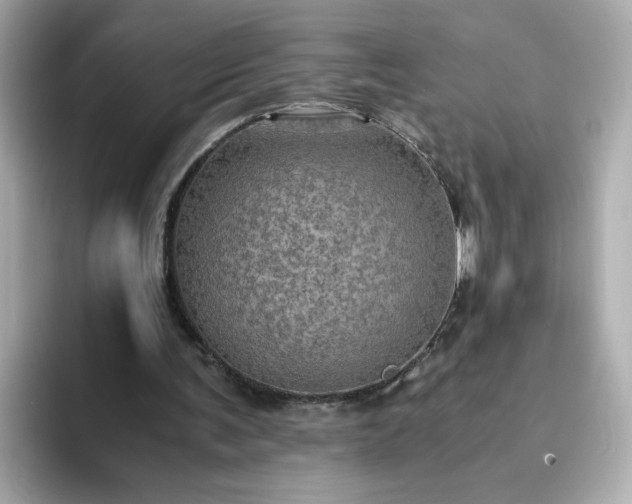 X0000093430291200710261025