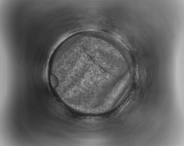 X0000093430292200710261025