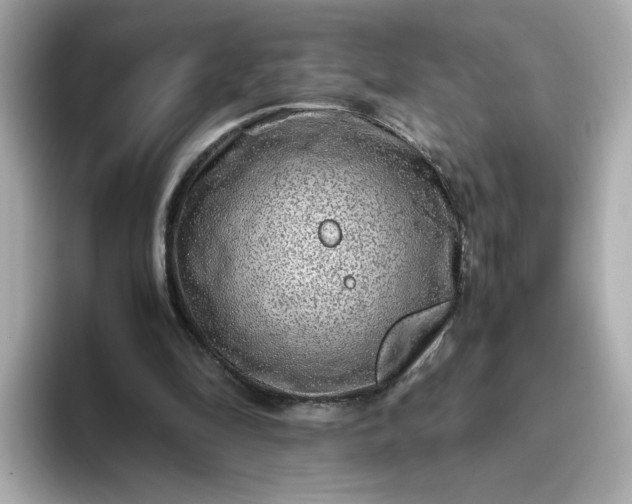 X0000093430294200710261025