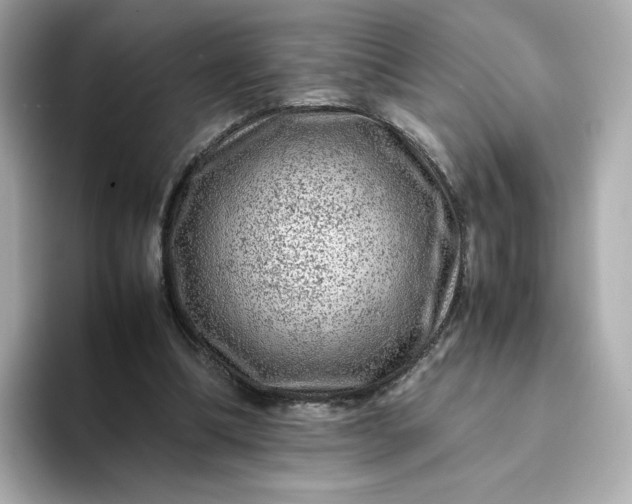 X0000093430298200710261025