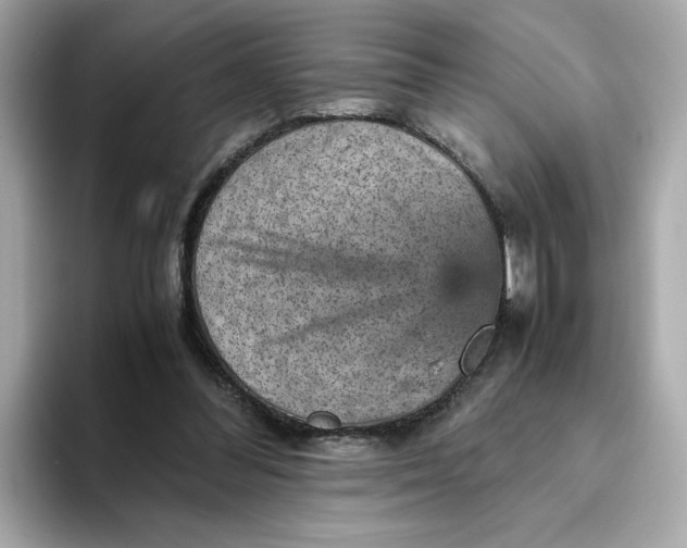 X0000093430300200710261025