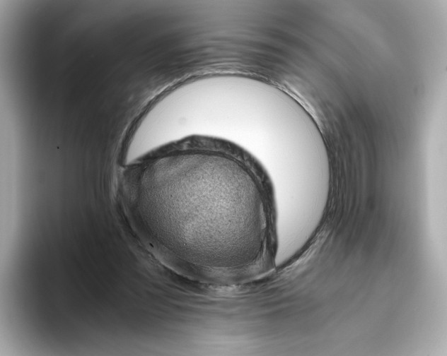 X0000093430301200710261025