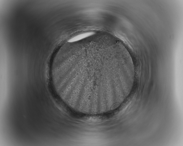 X0000093430303200710261025