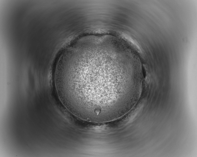 X0000093430306200710261025