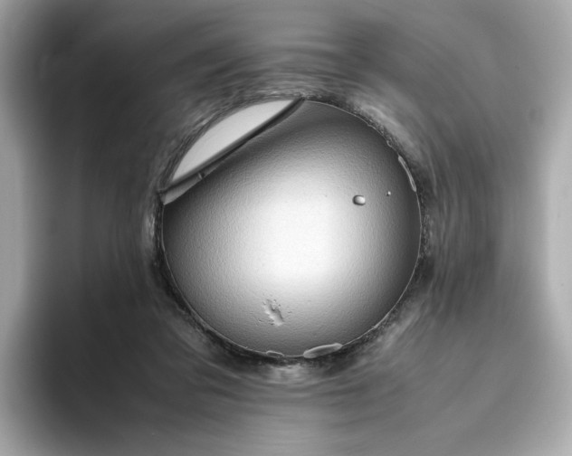 X0000093430309200710261025