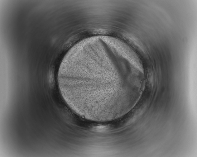 X0000093430312200710261025