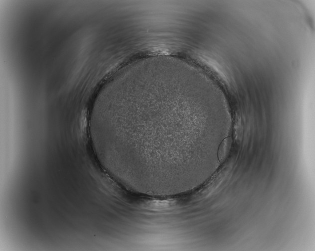 X0000093430314200710261025