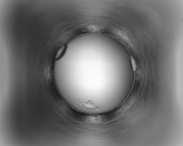 X0000093430317200710261025