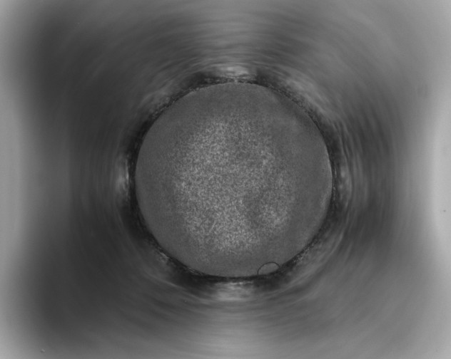 X0000093430320200710261025