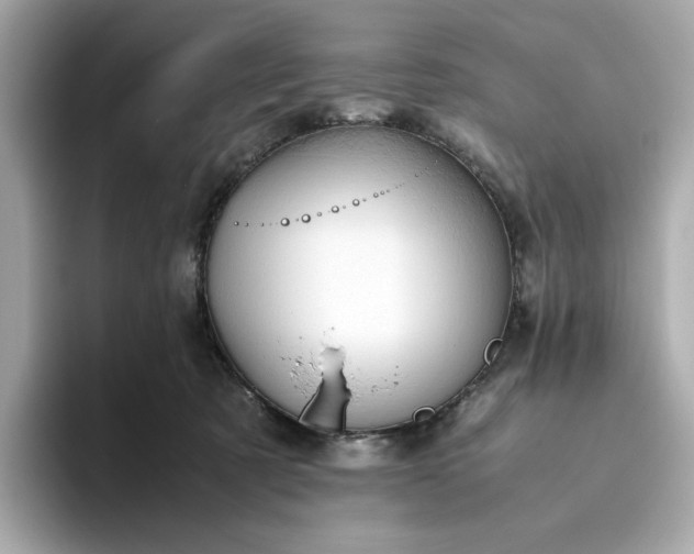 X0000093430321200710261025