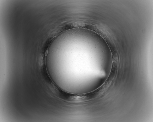 X0000093430323200710261025