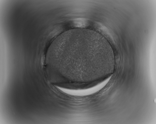 X0000093430325200710261025