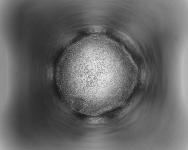 X0000093430326200710261025