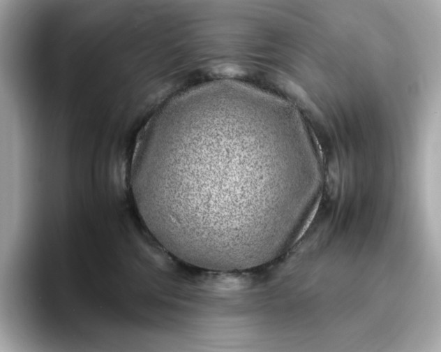 X0000093430330200710261024