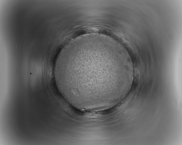 X0000093430331200710261024