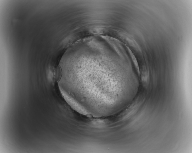 X0000093430332200710261024