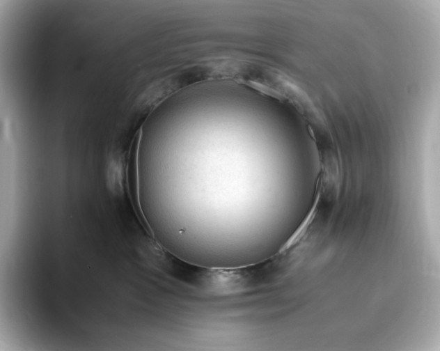 X0000093430333200710261024