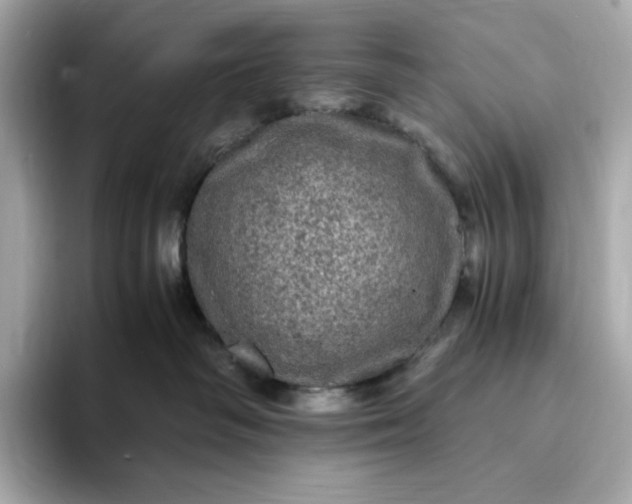 X0000093430334200710261024