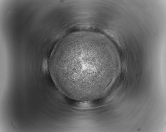 X0000093430335200710261024