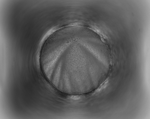 X0000093430341200710261024