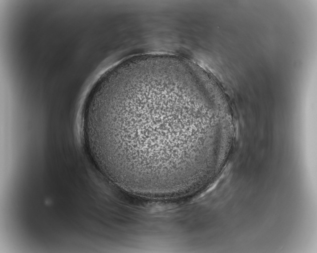 X0000093430343200710261024