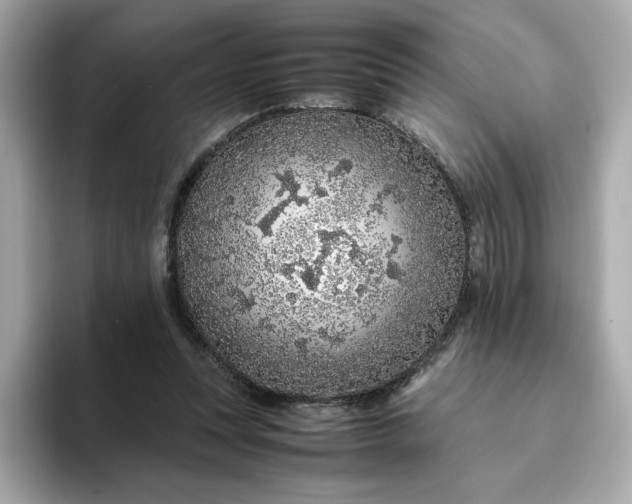 X0000093430351200710261024