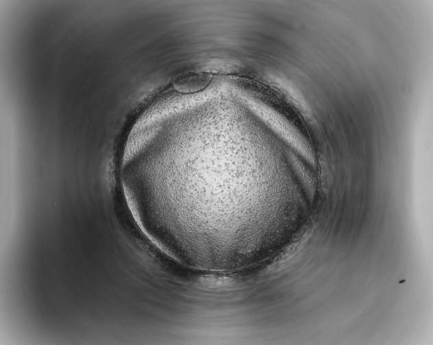 X0000093430354200710261024