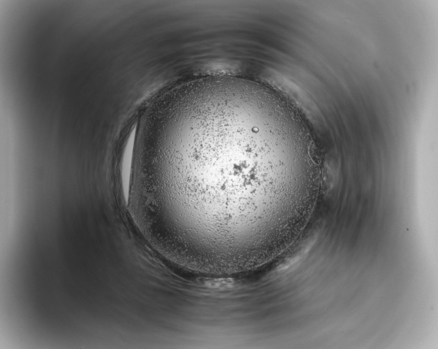 X0000093430355200710261024