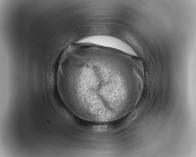 X0000093430362200710261024