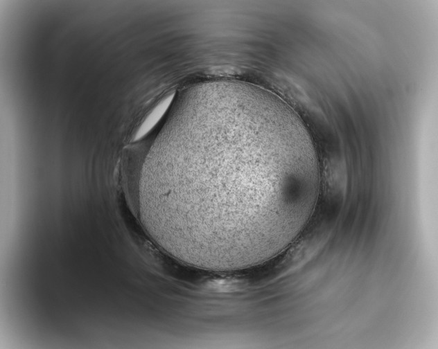 X0000093430364200710261024