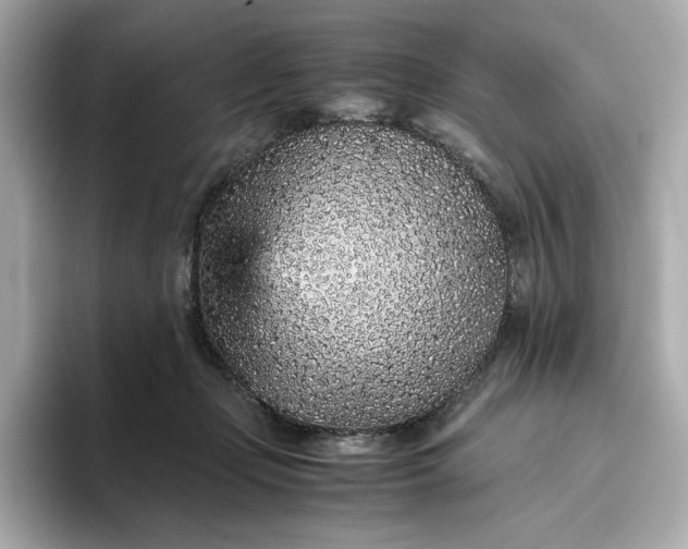 X0000093430365200710261024