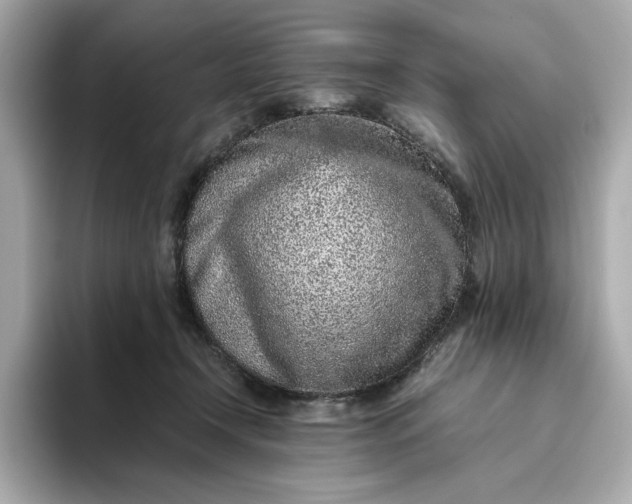 X0000093430366200710261024