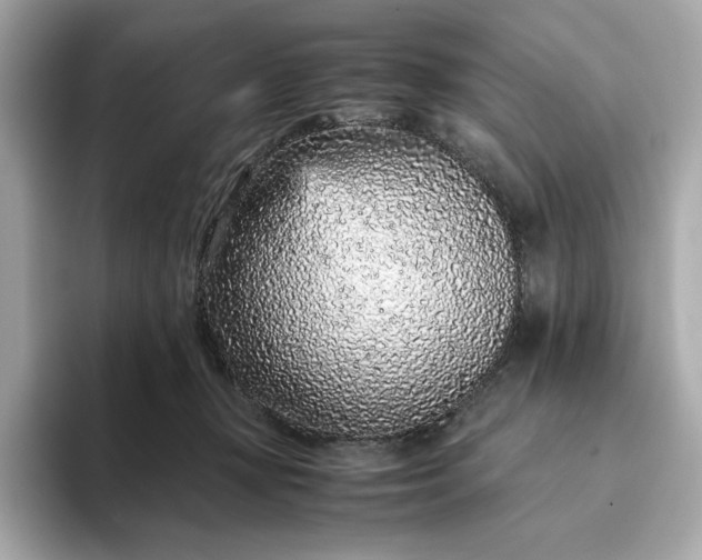 X0000093430367200710261024