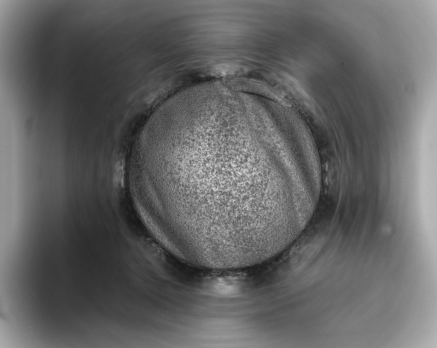 X0000093430368200710261024