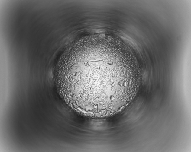 X0000093430373200710261024