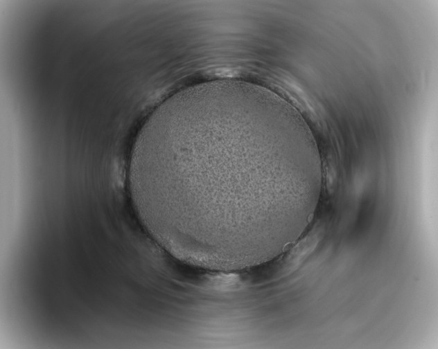 X0000093430374200710261024