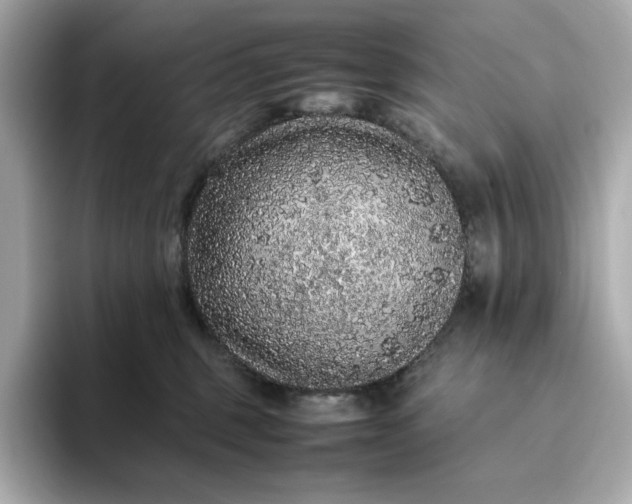 X0000093430375200710261024