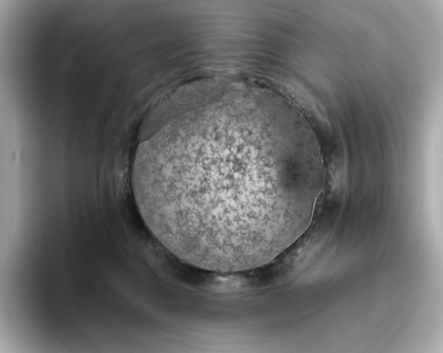 X0000093430376200710261024