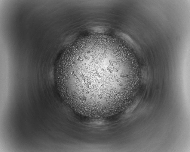 X0000093430377200710261024