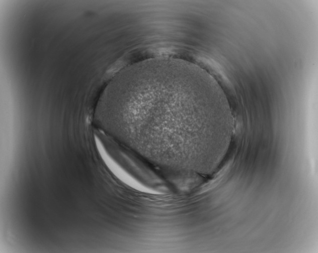 X0000093430382200710261024