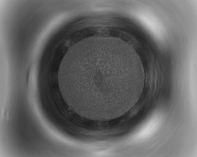 X0000093430383200710261024