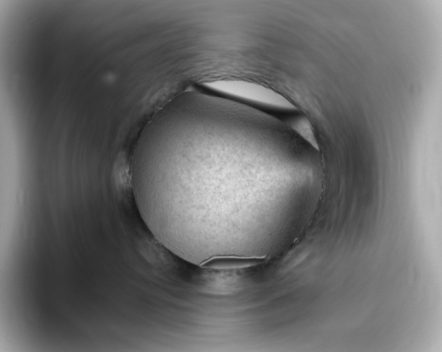 X0000093430384200710261024