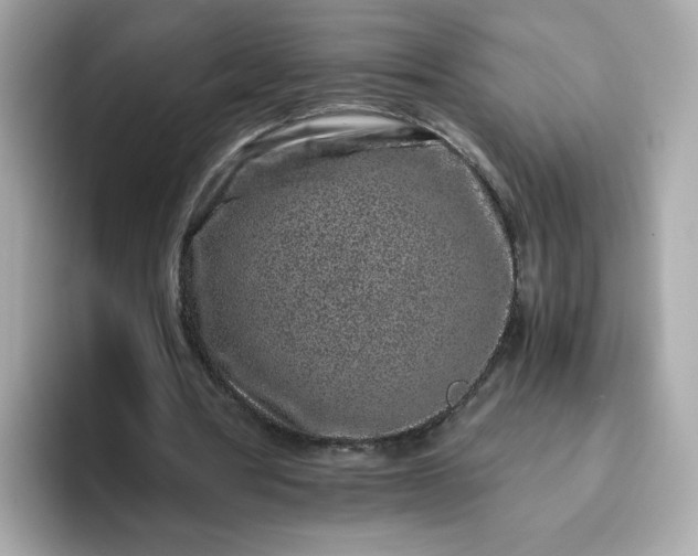 X0000093430386200710261024