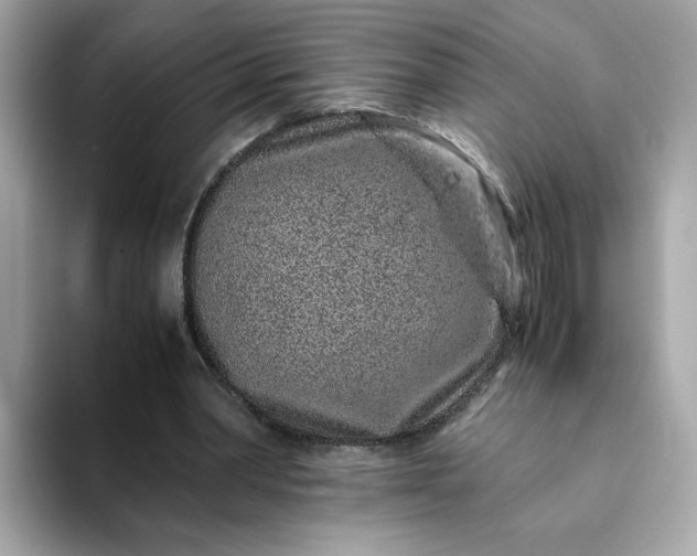 X0000093430390200710261024