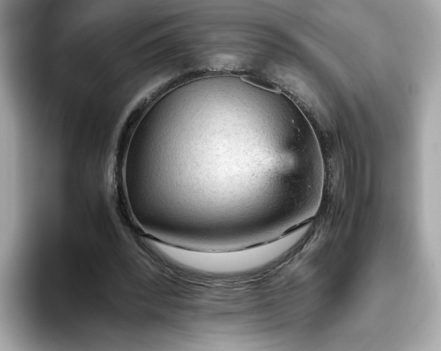 X0000093430392200710261024