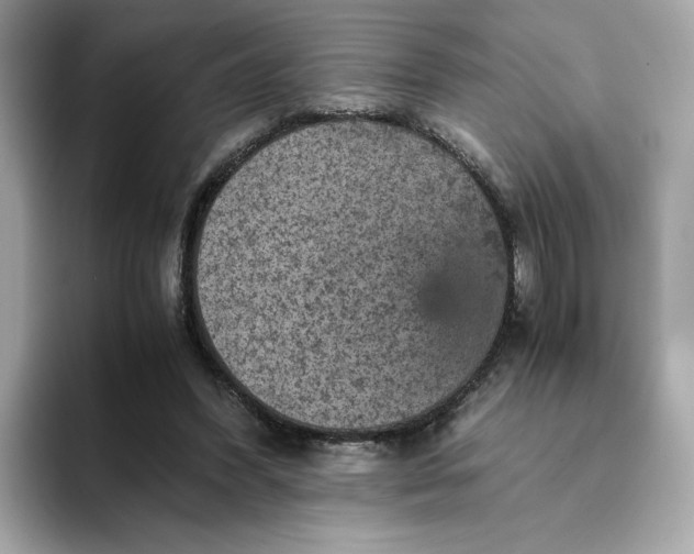 X0000093430396200710261024