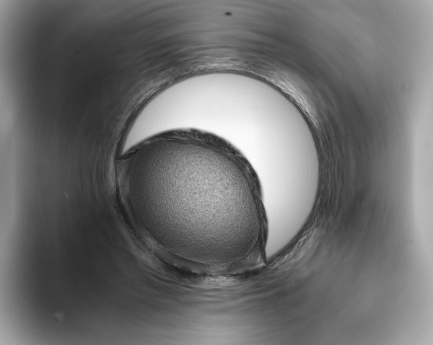 X0000093430397200710261024