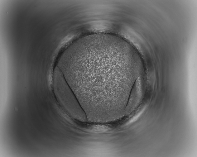 X0000093430399200710261024