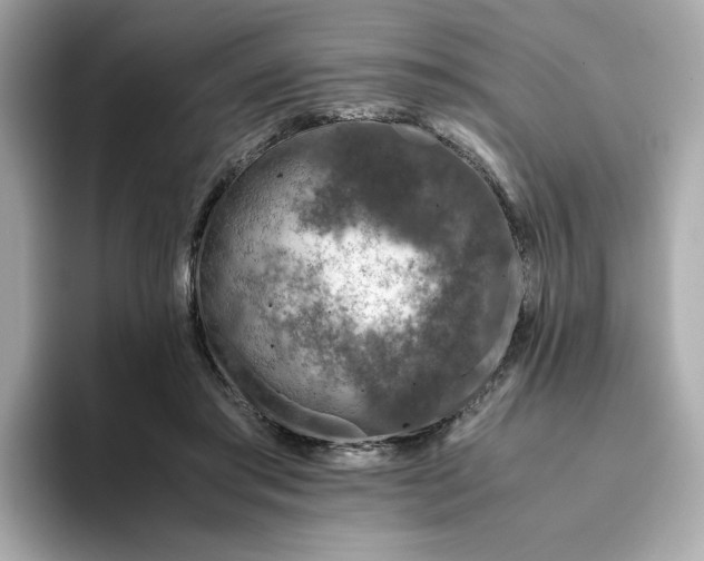 X0000093430405200710261023