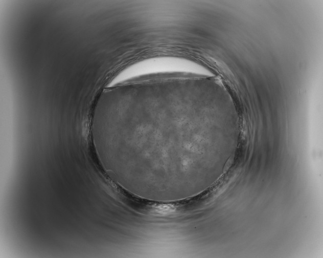 X0000093430409200710261023